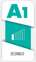 A1 (Beginner)