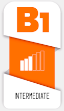 B1 (Intermediate)